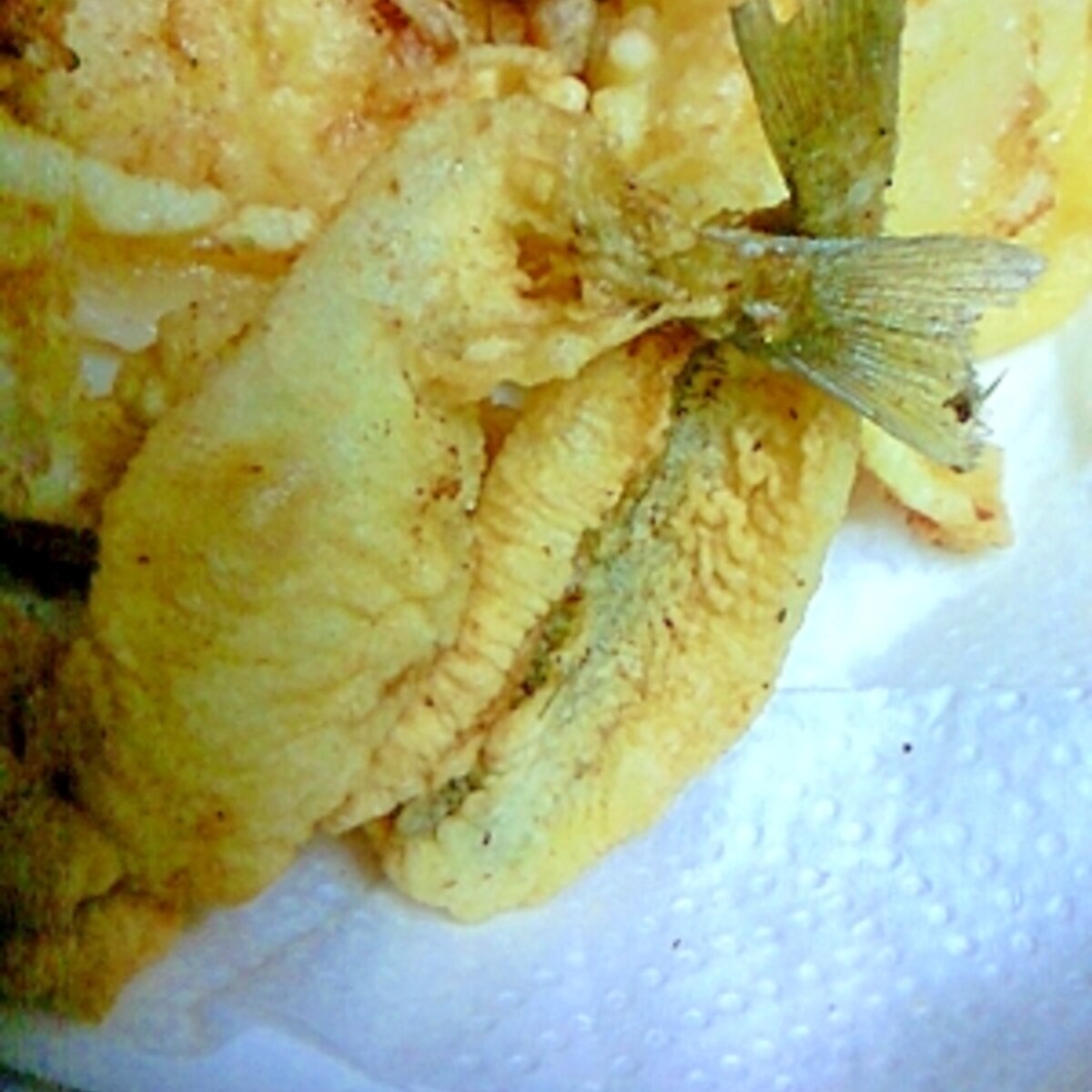 キスの天ぷら レシピ 作り方 By 五十嵐 乱 楽天レシピ キスの天ぷら レシピ 作り方 By 五十嵐 乱 楽天レシピ